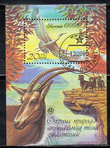 Охрана природы СССР 1990 год (6246) 1 гашеный блок