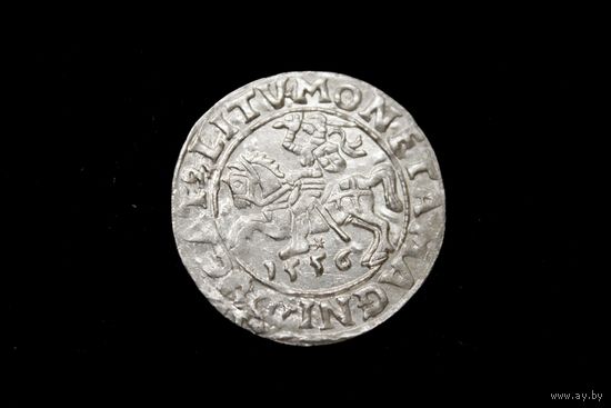 Полугрош 1556 г. Вильно (Великое Княжество Литовское), Сигизмунд Август. Сохран!