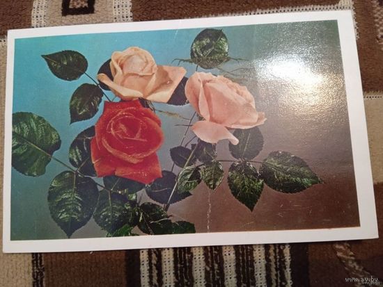 С днём рождения!  1976 года. Фото Лисецкого.