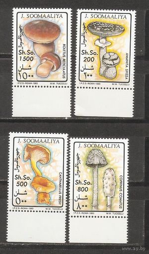 Сомали 1993 Флора Грибы