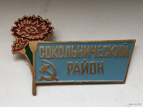 Сокольнический район