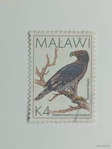 Малави 1988. Птицы