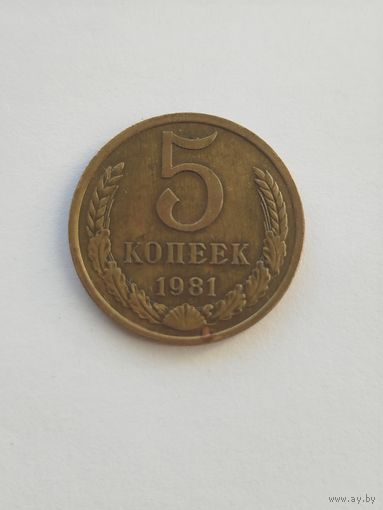 5 копеек 1981 разновидность