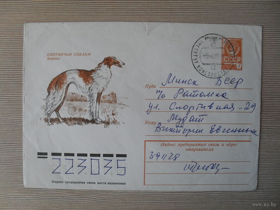 П-5. КОНВЕРТ СССР ПРОШЕДШИЙ ПОЧТУ.ОХОТНИЧЬИ СОБАКИ. БОРЗАЯ. худ. С. КУПРИЯНОВ. 1978 г.