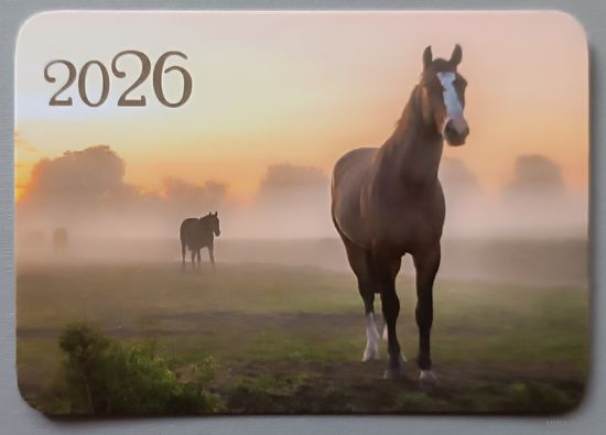 Лошадь. Календарик, глянец, 2026. Траско