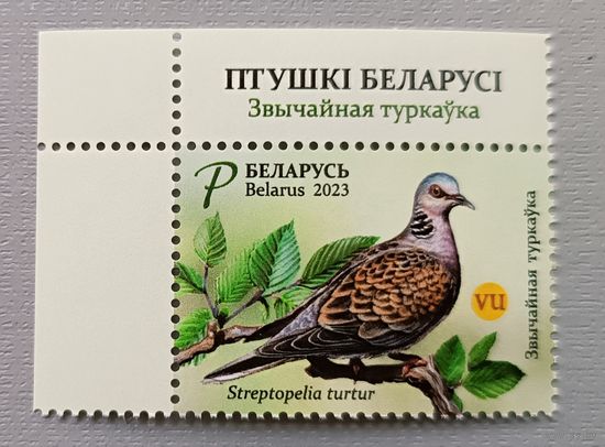 Голубь. Беларусь, 2023