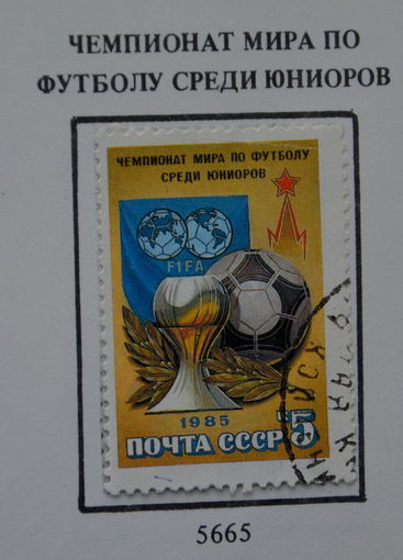 Ссср
