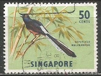 Сингапур. Птицы. Дрозд. 1963г. Mi#65.