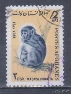 [1891] Афганистан 1967. Фауна.Обезьяны. Гашеная марка.