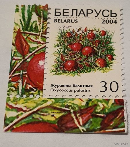 Ягоды 2004 год
