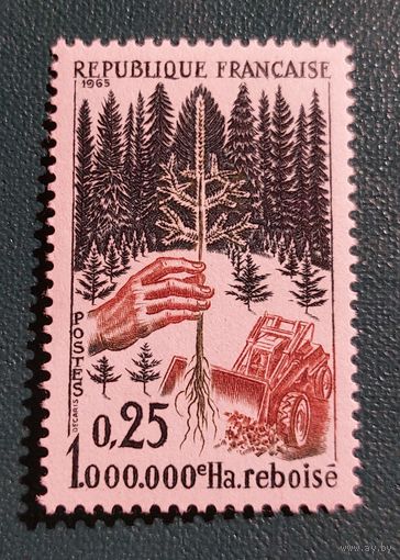 Франция 1965 Восстановление леса
