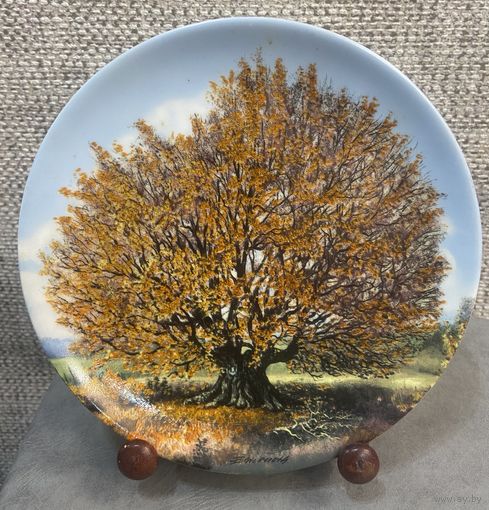 Декоративная настенная тарелка Tirschenreuth Баварский бук. Из серии Деревья великаны. Германия. 1988 год. 20 см.