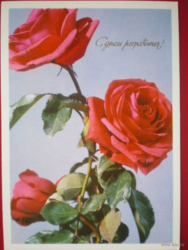 Фото Л.Резникова, с днем рождения, 1973, подписана