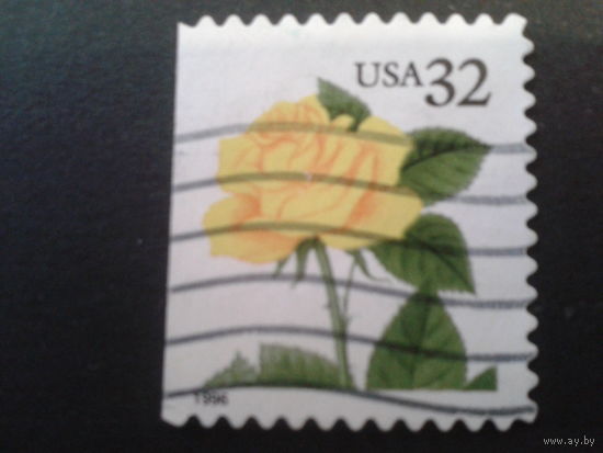 США 1996 стандарт, роза