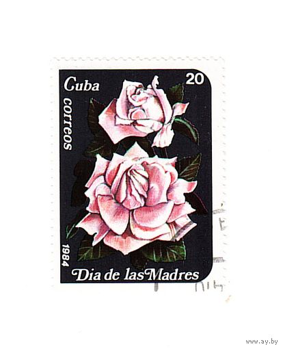 Куба 1984 Розы