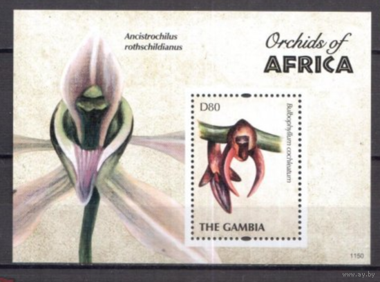 Гамбия 2011  - Флора орхидеи     MNH