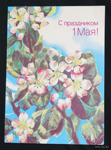 Морозов М. С Праздником 1 Мая ! 1988 год #0024-KM1P12
