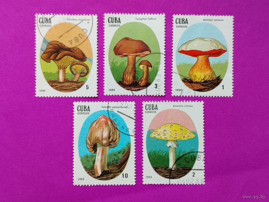 Куба. Грибы. ( 5 марок ) 1988 года. 8-12.
