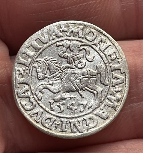 Полугрош 1547 года без МЦ.