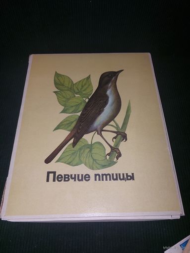 Набор спичек