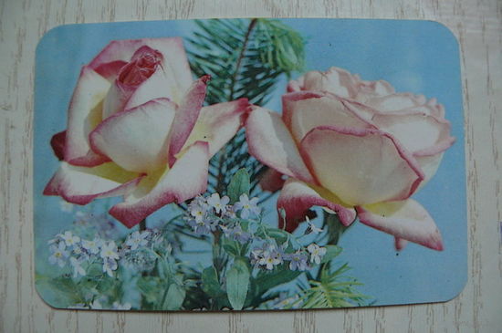Календарик, 1990, Цветы. Розы.