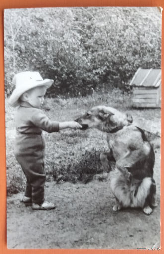 Робский М. Фарбер Г.  Мальчик с собакой. Фотооткрытка. 1964 г. Чистая.