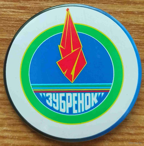 Значок ДОЛ "Зубрёнок"