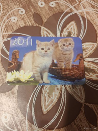 Календарик,котята,Украина