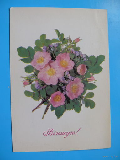 Дергилев И.(фото), Поздравляю! (на белорусском языке), 1990, чистая.