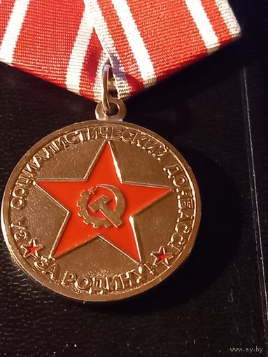 Доброволец донбасса