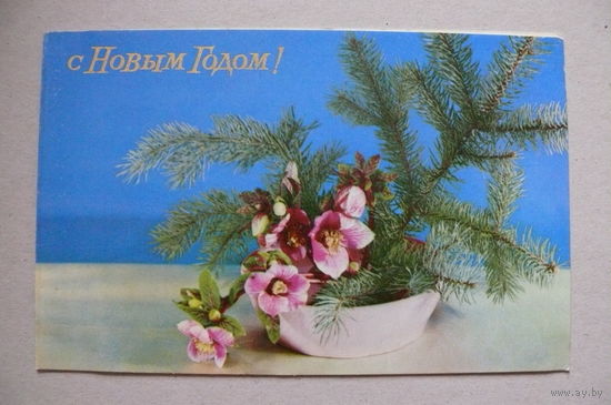 Игнатович Е., Шульгина Л., С Новым годом! 1969, двойная, подписана.