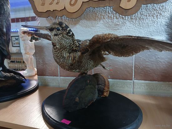 Чучело Фальдшнеп