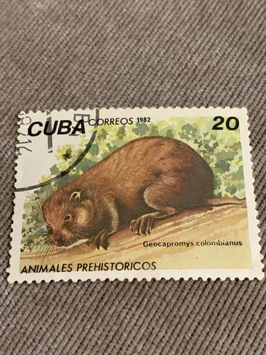 Куба 1982. Доисторические животные. Geocapromys colombianus. Марка из серии