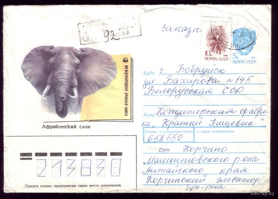 Исаков Слон 92