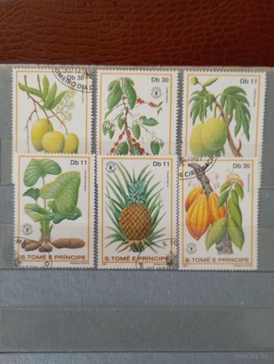 Флора Сан-Томе и Принсипи