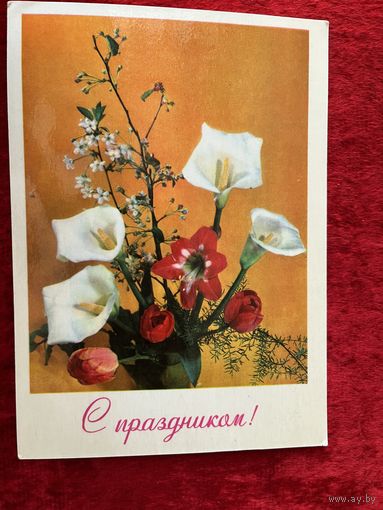 Фото Б. Круцко Б. С праздником! 1974 год, чистая.