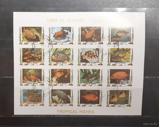 Ум-эль-Кувайн. 1973 год. Фауна. Рыбы (беззубцовка) (1180)