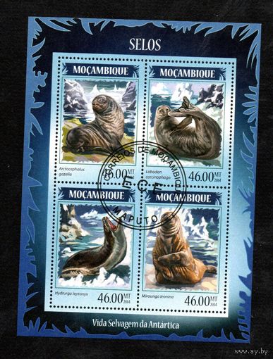 Морские животные Мозамбик 2014 год 1 блок