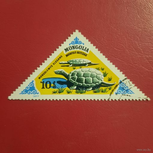 Монголия 1977. Доисторические животные. Mongolemys Elegans. Марка из серии