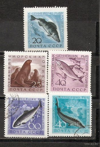 ФФ1 СССР Охрана фауны