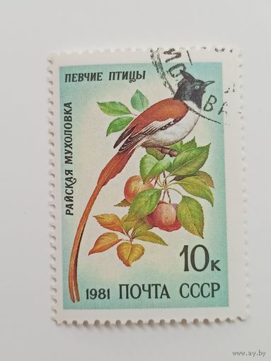 1981 СССР. Певчие птицы. Райская мухоловка
