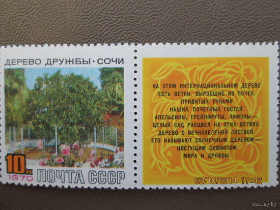 Дерево дружбы.Сочи 1970 г