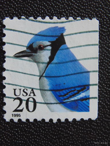 США 1995 г. Птицы.