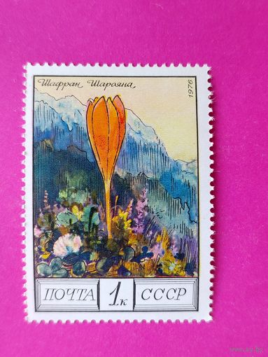 СССР. Цветы гор Кавказа. ( 1 марка ) 1976 года. 3-16.