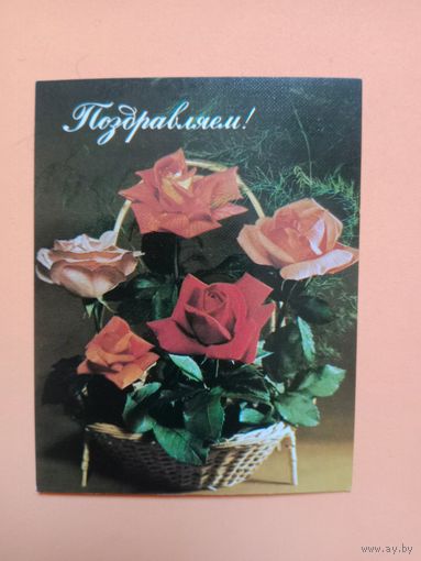 Открытка мини,Круцко 1984