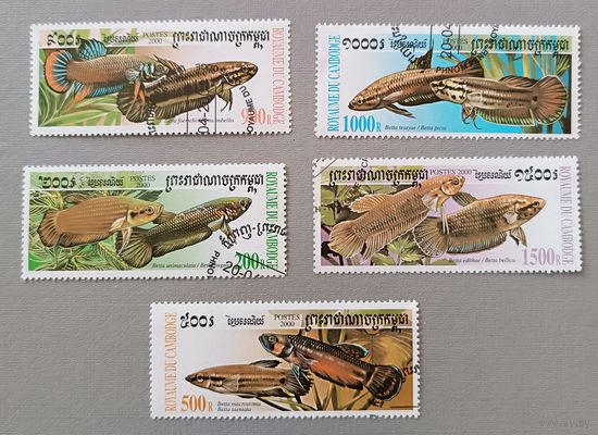 Аквариумные рыбки. Камбоджа,  2000