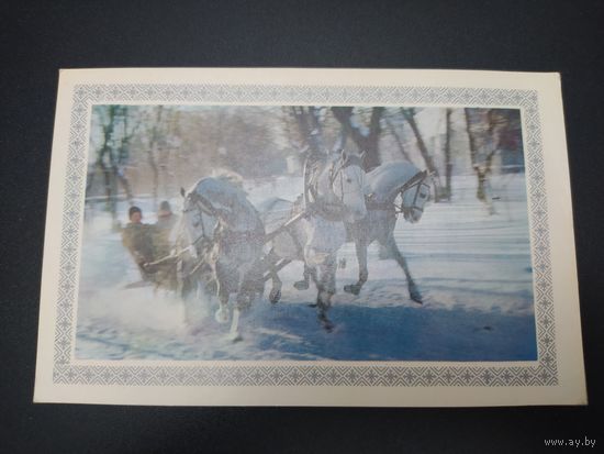 Фото Н. Туранова