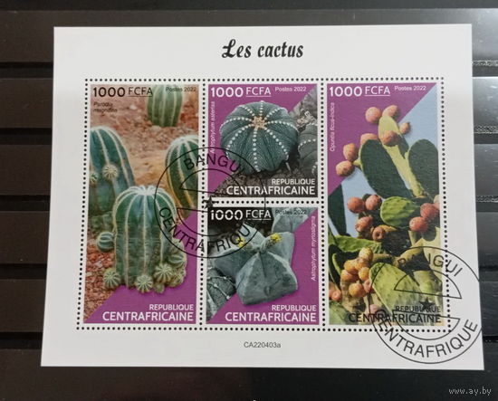 ЛИСТ ФЛОРА ЦВЕТЫ ГРИБЫ  СТО