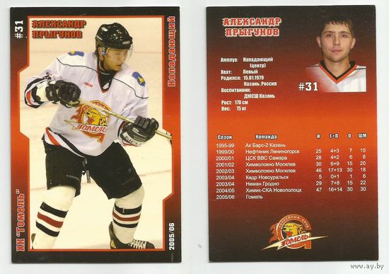Александр Прыгунов / ХК Гомель / Сезон 2005/2006.