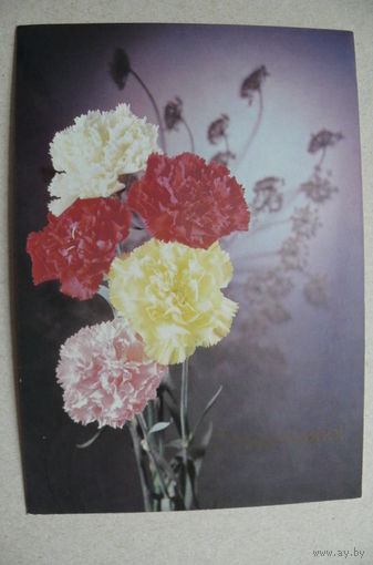 Киндрова Д., Поздравляю! 1989, подписана.